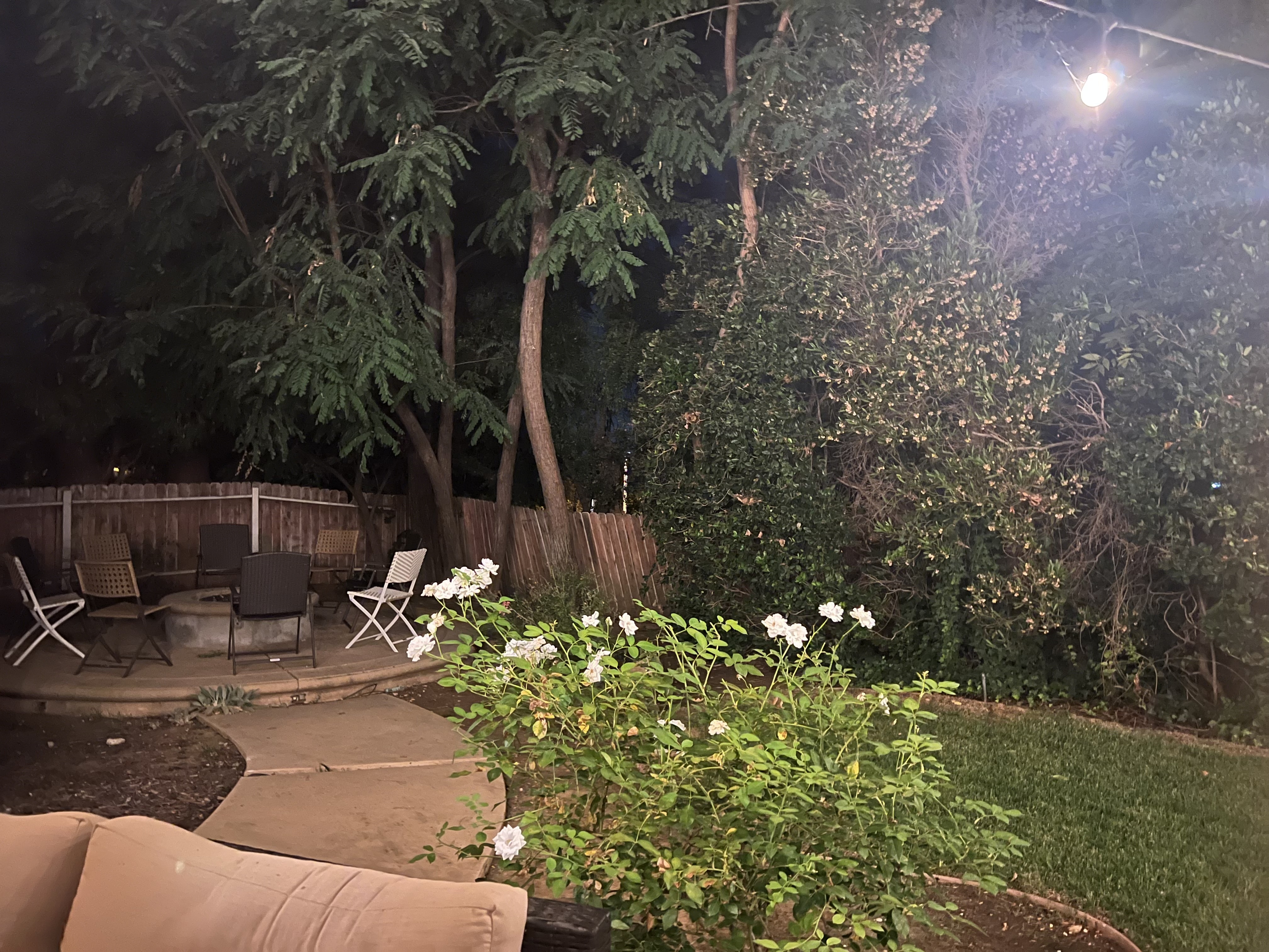 Fire pit seating among the roses