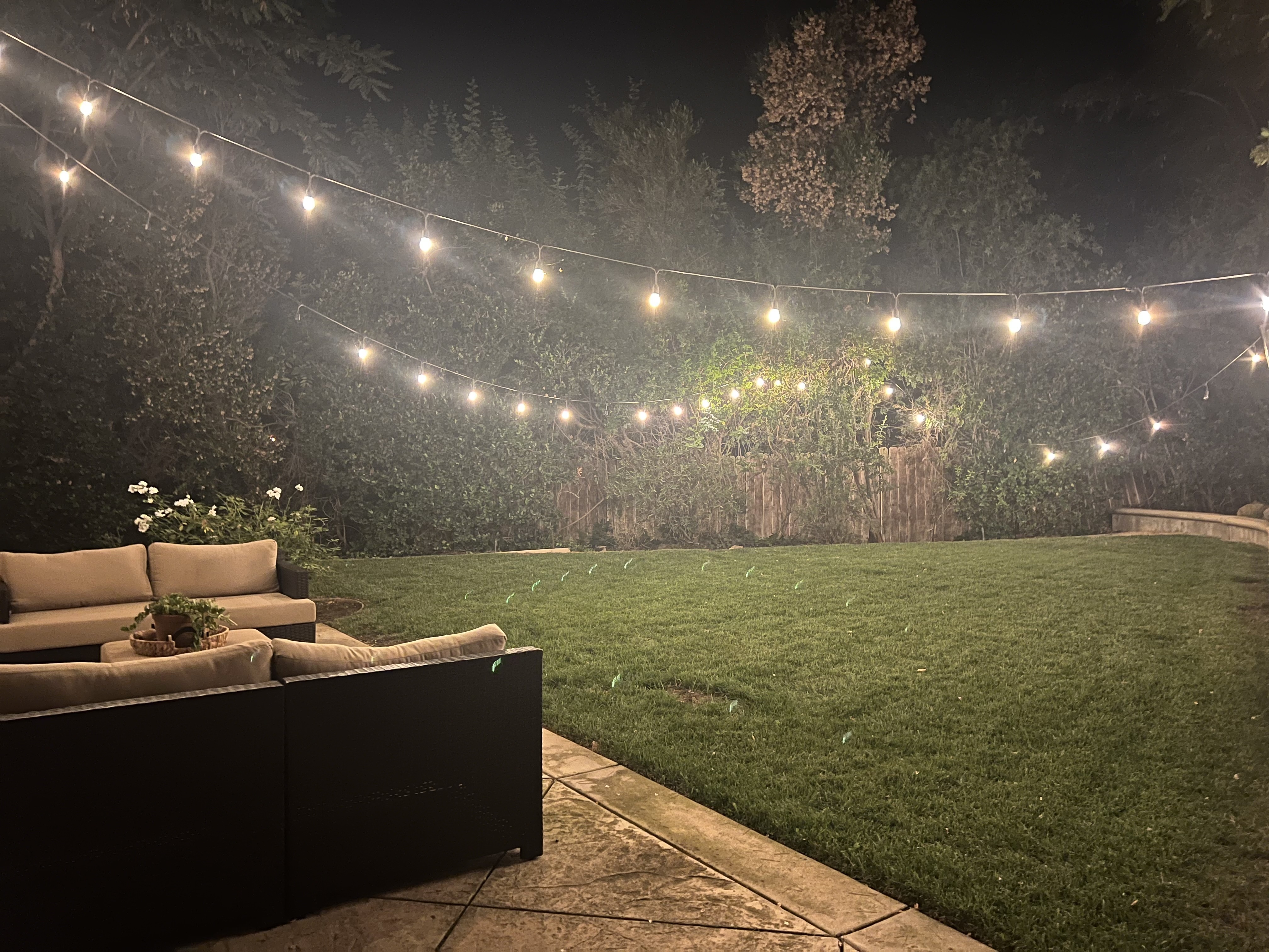 String lights over the lawn at night